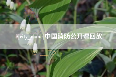 黄南中国消防公开课回放