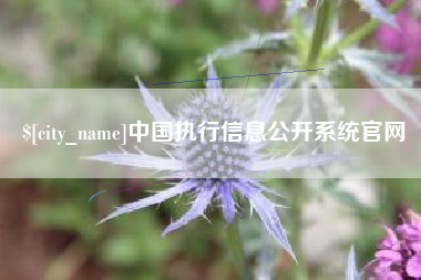黄南中国执行信息公开系统官网