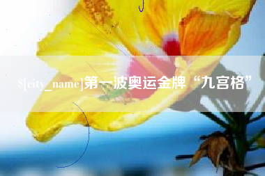 黄南第一波奥运金牌“九宫格”