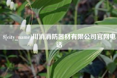 黄南川消消防器材有限公司官网电话