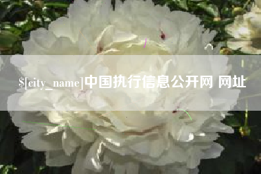 黄南中国执行信息公开网 网址