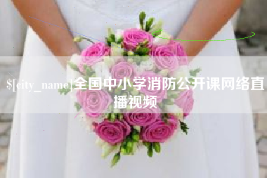黄南全国中小学消防公开课网络直播视频