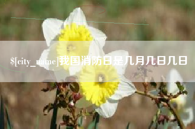 黄南我国消防日是几月几日几日