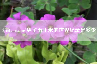 黄南男子五千米的世界纪录是多少