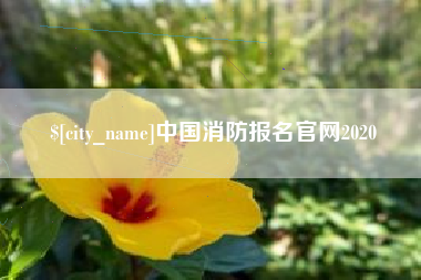 黄南中国消防报名官网2020