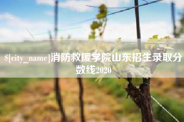 黄南消防救援学院山东招生录取分数线2020