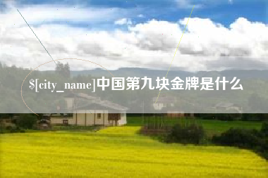 黄南中国第九块金牌是什么