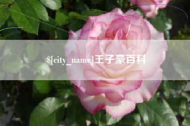 黄南王子豪百科