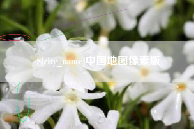 黄南中国地图像素版