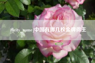 黄南中国有哪几枚金牌得主