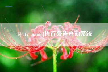 黄南执行公告查询系统