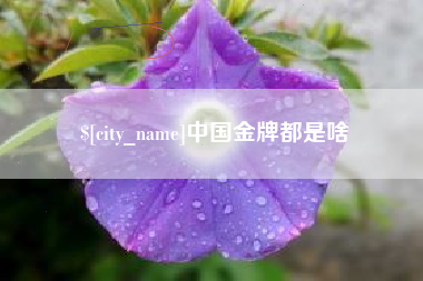 黄南中国金牌都是啥