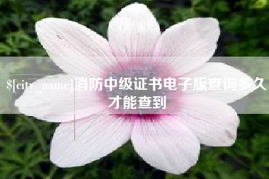 黄南消防中级证书电子版查询多久才能查到