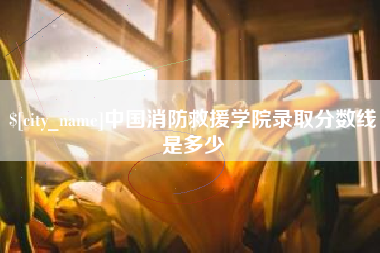 黄南中国消防救援学院录取分数线是多少