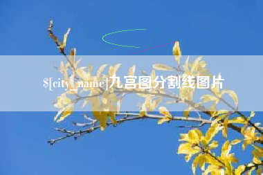 黄南九宫图分割线图片