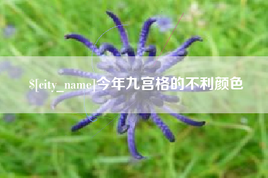 黄南今年九宫格的不利颜色