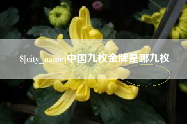 黄南中国九枚金牌是哪九枚