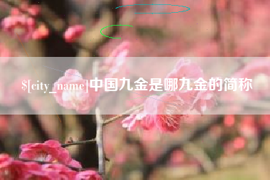 黄南中国九金是哪九金的简称