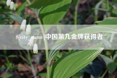 黄南中国第九金牌获得者