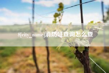 黄南消防证查询怎么查
