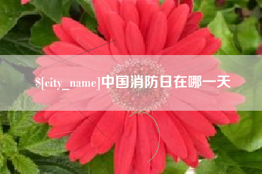 黄南中国消防日在哪一天
