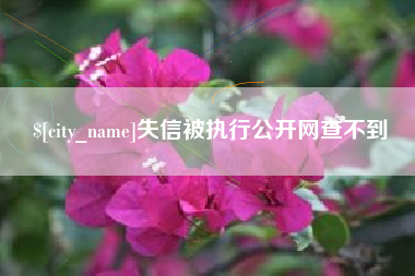 黄南失信被执行公开网查不到