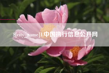 黄南1.中国执行信息公开网