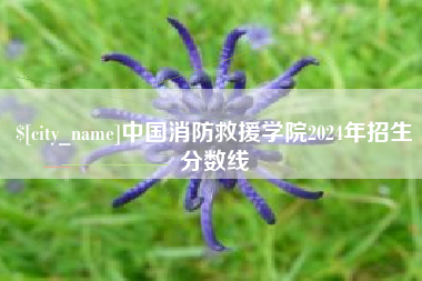 黄南中国消防救援学院2024年招生分数线