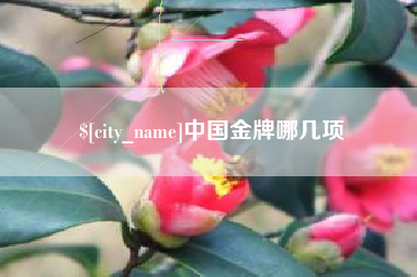 黄南中国金牌哪几项