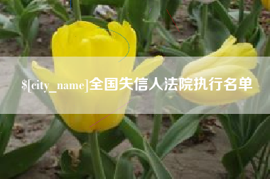 黄南全国失信人法院执行名单