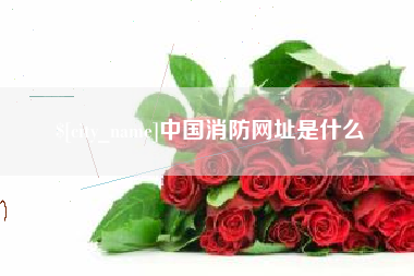 黄南中国消防网址是什么