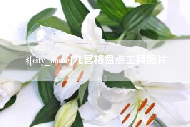 黄南九宫格盘点工具图片