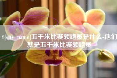 黄南五千米比赛领跑员是什么-他们就是五千米比赛领跑员