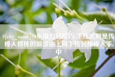 黄南60米接力赛技巧-下压式则是传棒人将棒的前部由上向下传到接棒人手中