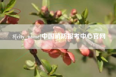 黄南中国消防报考中心官网