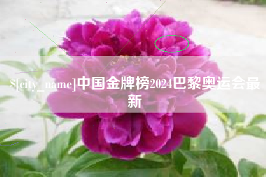 黄南中国金牌榜2024巴黎奥运会最新