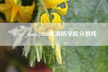 黄南2020年消防学院分数线
