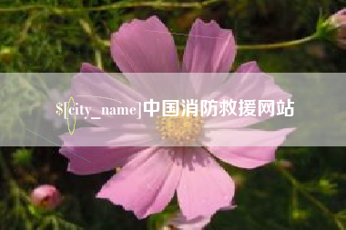 黄南中国消防救援网站