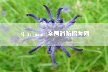 黄南全国消防招考网