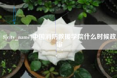 黄南中国消防救援学院什么时候政审