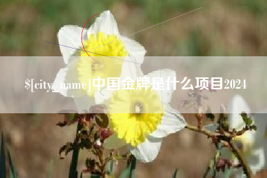 黄南中国金牌是什么项目2024