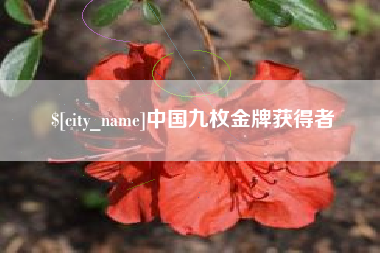 黄南中国九枚金牌获得者