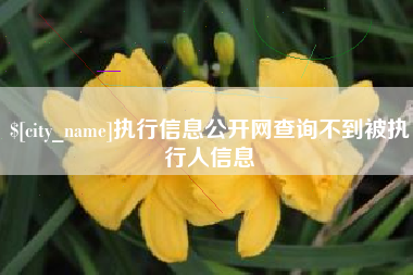 黄南执行信息公开网查询不到被执行人信息