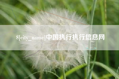 黄南中国执行执行信息网