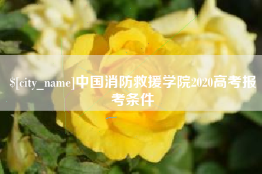 黄南中国消防救援学院2020高考报考条件