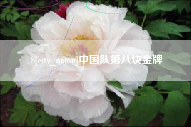 黄南中国队第八块金牌