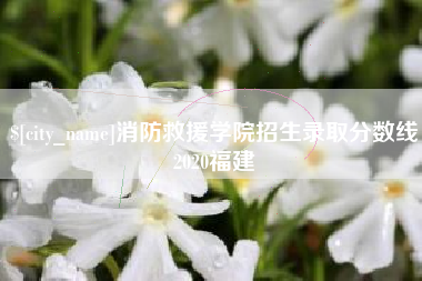 黄南消防救援学院招生录取分数线2020福建