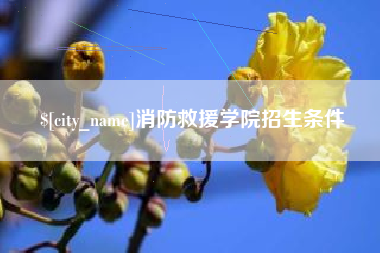黄南消防救援学院招生条件