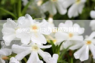 黄南579九宫格如何排