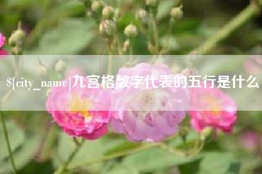 黄南九宫格数字代表的五行是什么